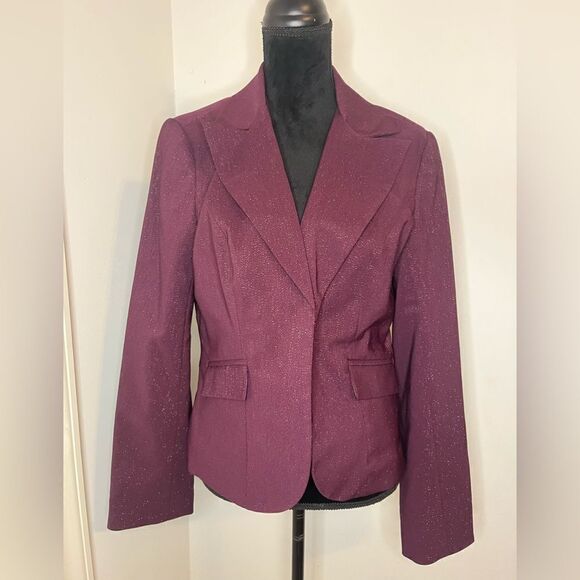NWT PARALLEL PURPLE GLITTER BUSINESS OFFICE BLAZER. *Brand new* - Picture 4 of 10